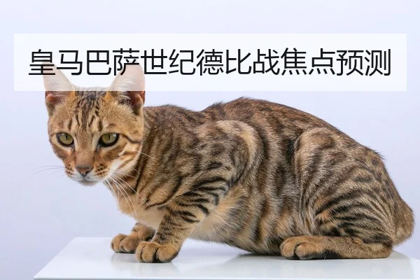 皇马巴萨世纪德比战焦点预测