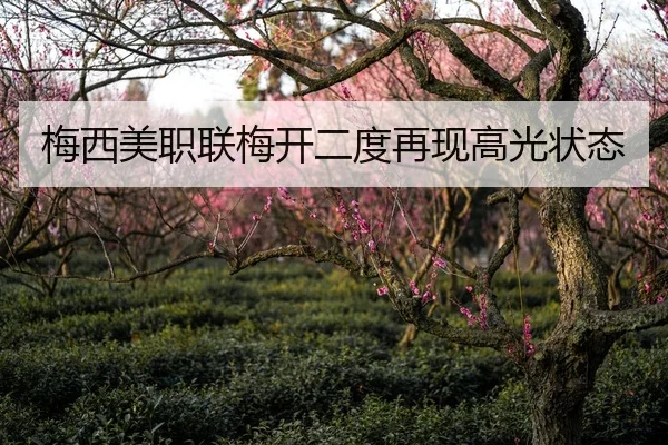 梅西美职联梅开二度再现高光状态